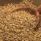 Sesame Seed